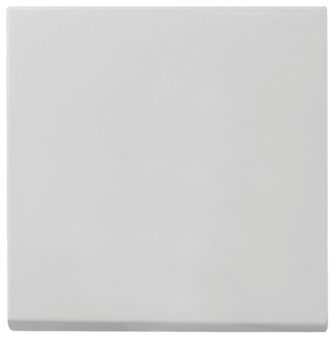 GIRA 0296015 Wippe System 55 Grau matt (lackiert)