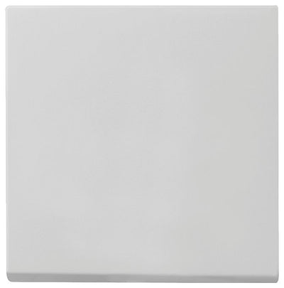 GIRA 0296015 Wippe System 55 Grau matt (lackiert)