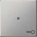 GIRA 0287600 Wippe Symbol Tür System 55 Edelstahl