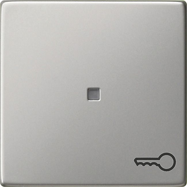 GIRA 0287600 Wippe Symbol Tür System 55 Edelstahl