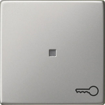 GIRA 0287600 Wippe Symbol Tür System 55 Edelstahl