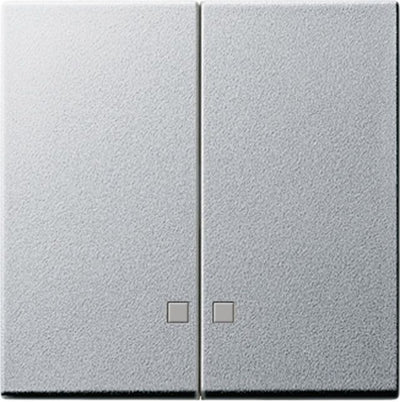 GIRA 063126 Wippe 2fach Kontrollfenster System 55 Farbe Alu