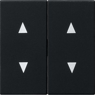 GIRA 1150005 Wippe 2fach Pfeile System 55 Schwarz matt (lackiert)