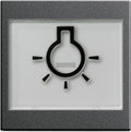 GIRA 021628 Wippe+BSF+Symbol Licht groß tastbar System 55 Anthrazit