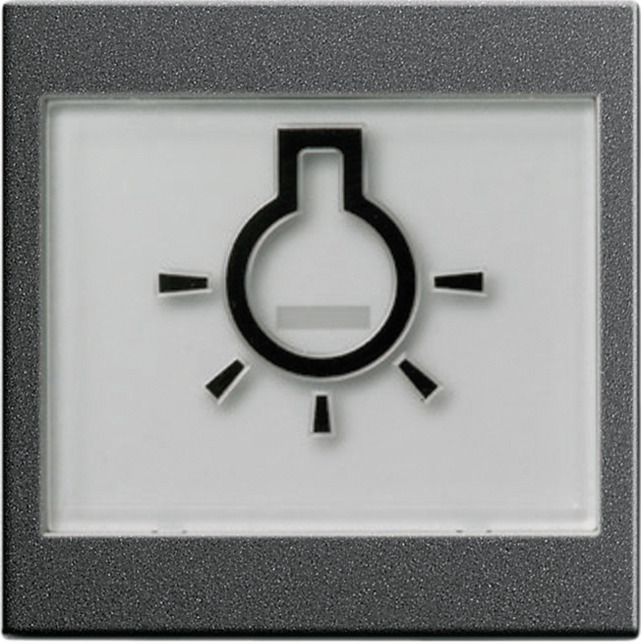 GIRA 021628 Wippe+BSF+Symbol Licht groß tastbar System 55 Anthrazit