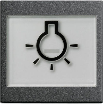 GIRA 021628 Wippe+BSF+Symbol Licht groß tastbar System 55 Anthrazit
