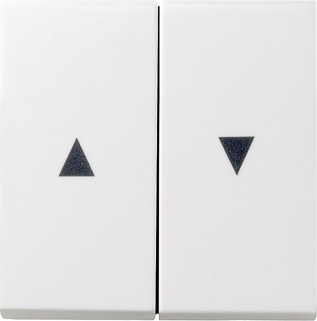 GIRA 029427 Wippe 2fach Pfeil System 55 Reinweiß seidenmatt