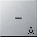 GIRA 067426 Wippe Kontrollfenster+Symbol Licht System 55 Farbe Alu