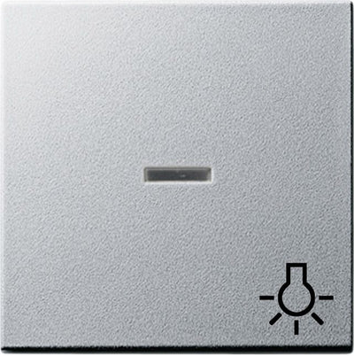 GIRA 067426 Wippe Kontrollfenster+Symbol Licht System 55 Farbe Alu