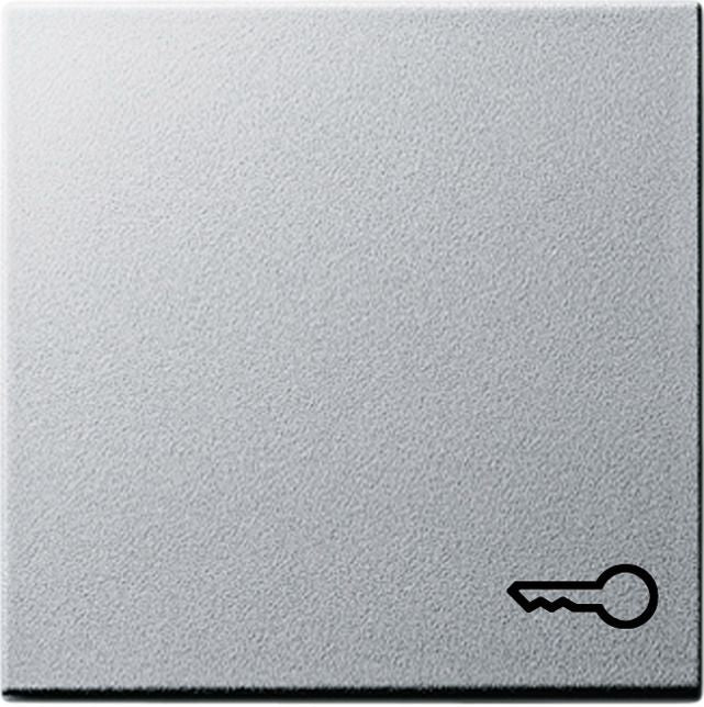 GIRA 028726 Wippe Symbol Tür System 55 Farbe Alu