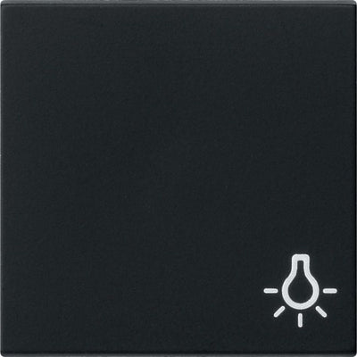 GIRA 0285005 Wippe Symbol Licht System 55 Schwarz matt (lackiert)