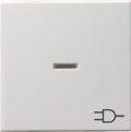 GIRA 020927 Wippe Kontrollfenster+Symbol Steckdose System 55 Reinweiß seidenmatt