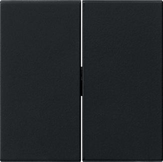 GIRA 0295005 Wippe 2fach System 55 Schwarz matt (lackiert)