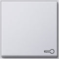 GIRA 028766 Wippe Symbol Tür TX_44 WG UP Reinweiß