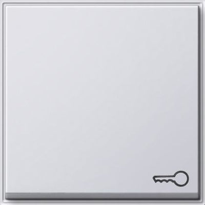 GIRA 028766 Wippe Symbol Tür TX_44 WG UP Reinweiß