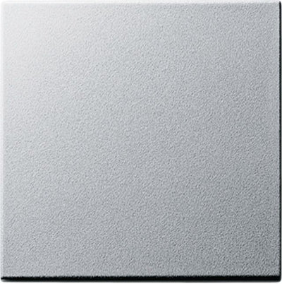 GIRA 029626 Wippe System 55 Farbe Alu System 55