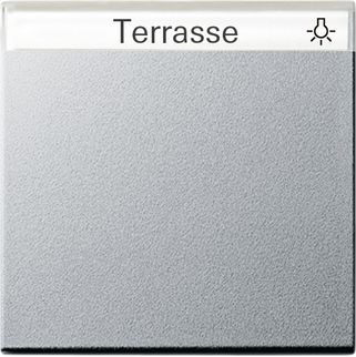 GIRA 029926 Wippe Beschriftungsfeld System 55 Farbe alu