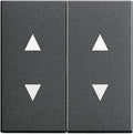 GIRA 115028 Wippe 2fach Pfeile System 55 Anthrazit