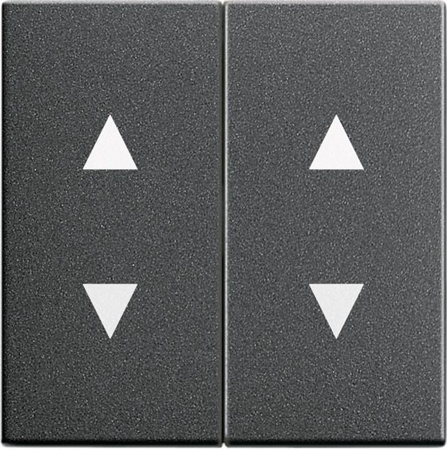 GIRA 115028 Wippe 2fach Pfeile System 55 Anthrazit