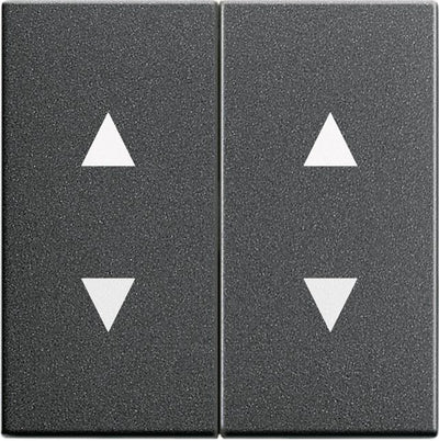 GIRA 115028 Wippe 2fach Pfeile System 55 Anthrazit