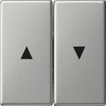 GIRA 0294600 Wippe 2fach Pfeil System 55 Edelstahl