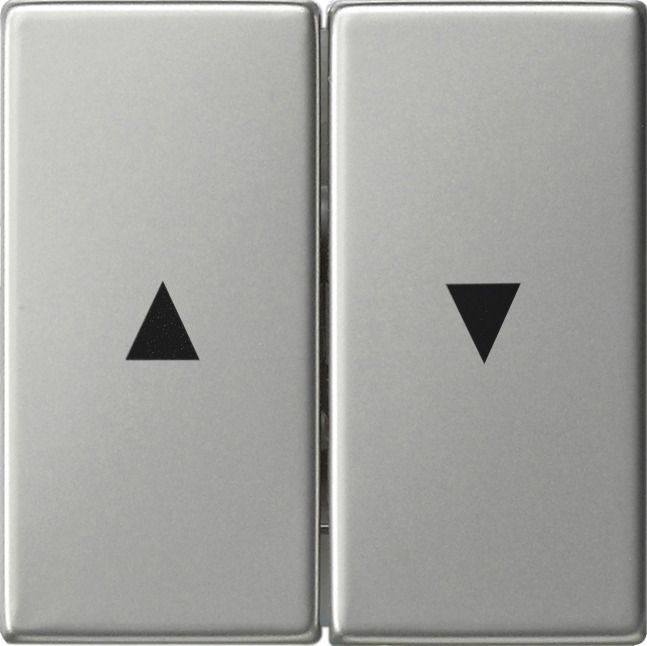 GIRA 0294600 Wippe 2fach Pfeil System 55 Edelstahl