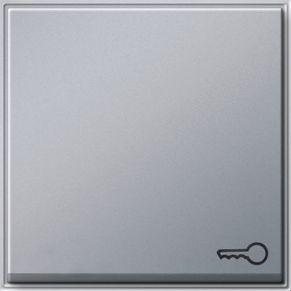 GIRA 028765 Wippe Symbol Tür TX_44 WG UP Farbe Alu