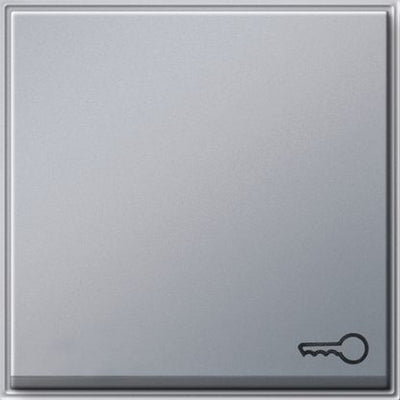 GIRA 028765 Wippe Symbol Tür TX_44 WG UP Farbe Alu