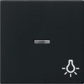 GIRA 0674005 Wippe Kontrollfenster+Symb. Licht System 55 Schwarz matt (lackiert)