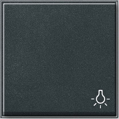 GIRA 028567 Wippe Symbol Licht TX_44 WG UP Anthrazit