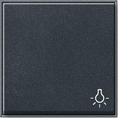 GIRA 028567 Wippe Symbol Licht TX_44 WG UP Anthrazit