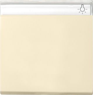 GIRA 029901 Wippe Beschriftungsfeld System 55 Cremeweiß glänzend