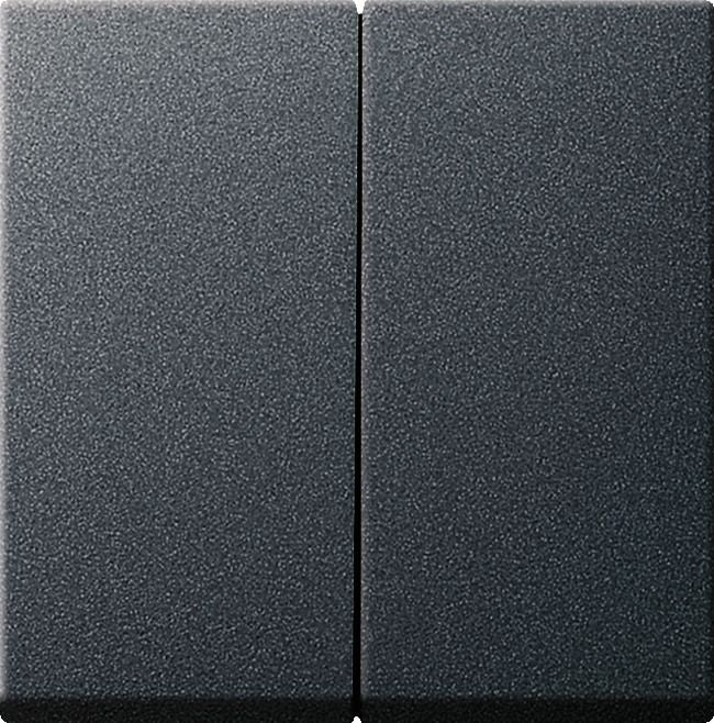 GIRA 029528 Wippe 2fach System 55 Anthrazit