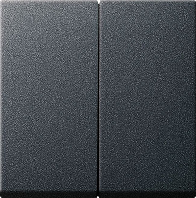 GIRA 029528 Wippe 2fach System 55 Anthrazit