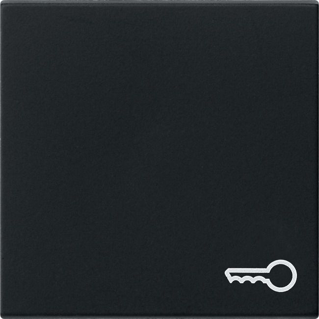 GIRA 0287005 Wippe Symbol Tür System 55 Schwarz matt (lackiert)