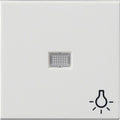 GIRA 063003 Wippe Kontrollfenster groß+ Symbol Licht System 55 Reinweiß glänzend