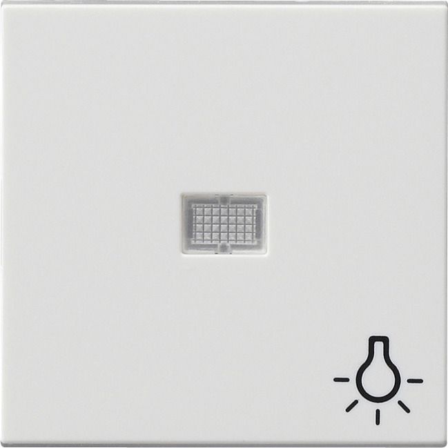 GIRA 063003 Wippe Kontrollfenster groß+ Symbol Licht System 55 Reinweiß glänzend