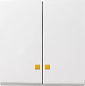 GIRA 063127 Wippe 2fach Kontrollfenster System 55 Reinweiß seidenmatt