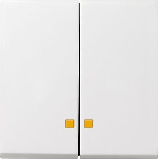GIRA 063127 Wippe 2fach Kontrollfenster System 55 Reinweiß seidenmatt