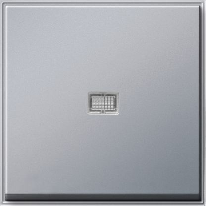 GIRA 029065 Wippe Kontrollfenster TX_44 WG UP Farbe Alu