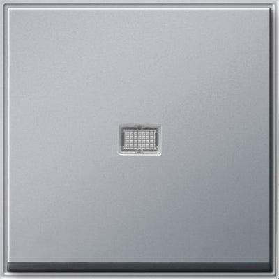 GIRA 029065 Wippe Kontrollfenster TX_44 WG UP Farbe Alu