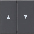 GIRA 029428 Wippe 2fach Pfeil System 55 Anthrazit