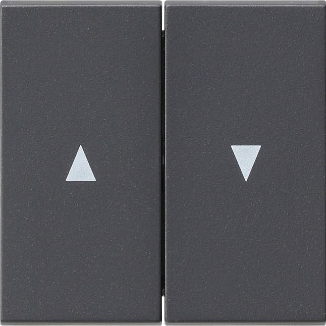 GIRA 029428 Wippe 2fach Pfeil System 55 Anthrazit