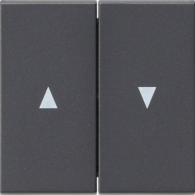 GIRA 029428 Wippe 2fach Pfeil System 55 Anthrazit