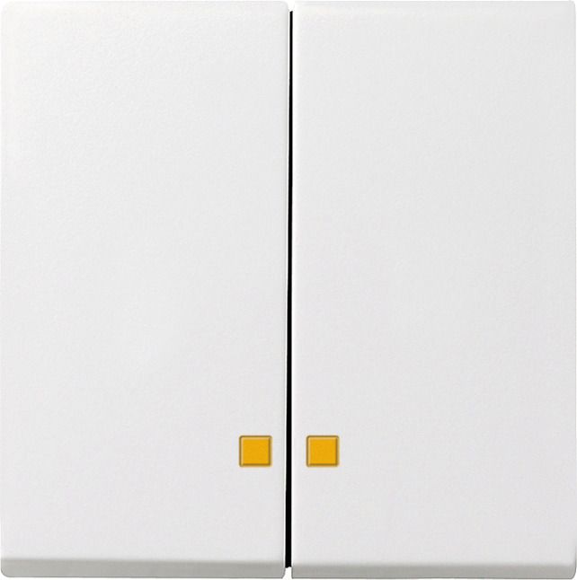 GIRA 063103 Wippe 2fach Kontrollfenster System 55 Reinweiß glänzend