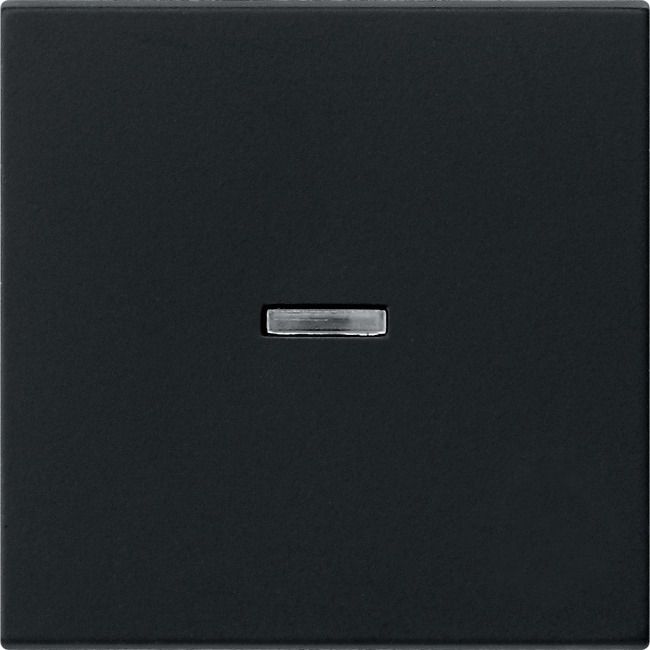 GIRA 0290005 Wippe Kontrollfenster System 55 Schwarz matt (lackiert)