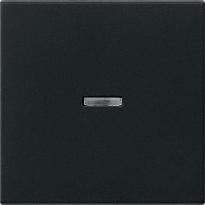 GIRA 0290005 Wippe Kontrollfenster System 55 Schwarz matt (lackiert)