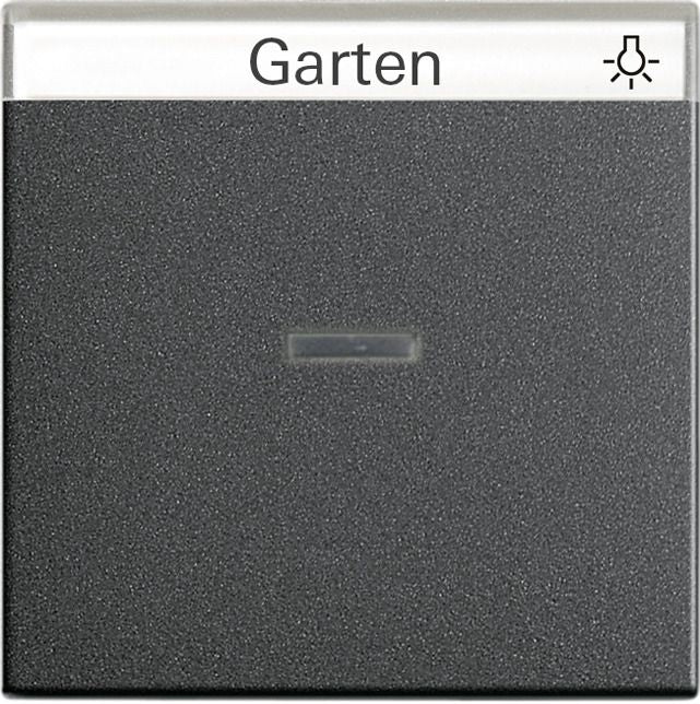 GIRA 067028 Wippe Kontrollfenster+BSF System 55 Anthrazit