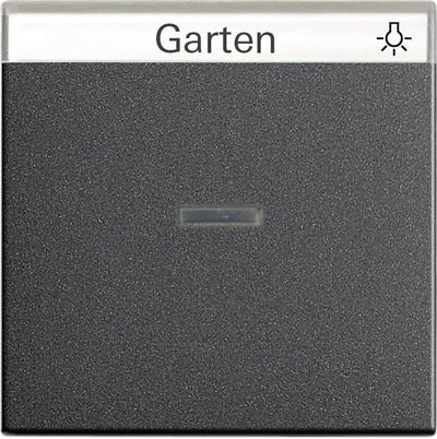 GIRA 067028 Wippe Kontrollfenster+BSF System 55 Anthrazit