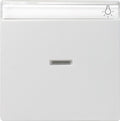 GIRA 067027 Wippe Kontrollfenster+BSF System 55 Reinweiß seidenmatt
